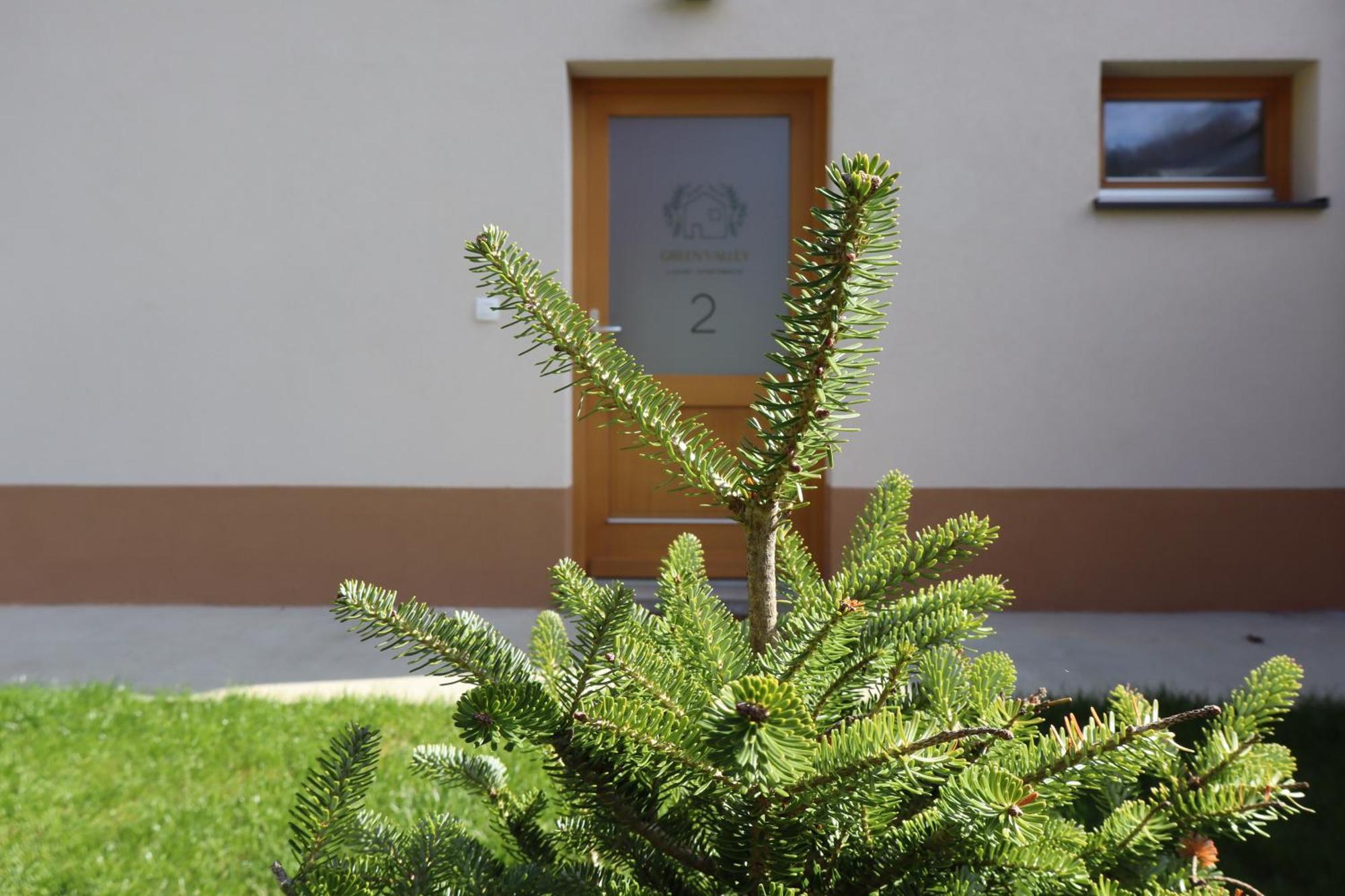 Green Valley Apartments Zavrc Exterior foto